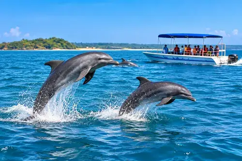 Coco Beach dolphin trip North Goa